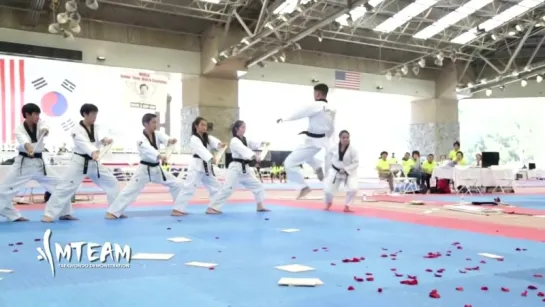 Taekwondo