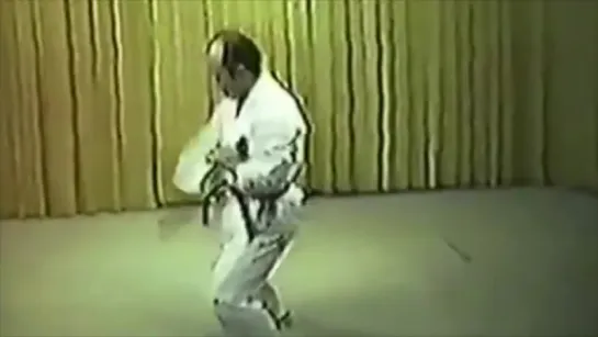 Okinawan Karate - The Original MMA