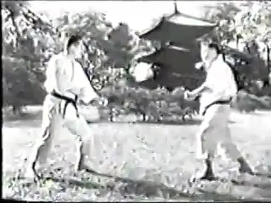 Shotokan