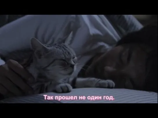 Ты и я / Kimi to Boku (2011)