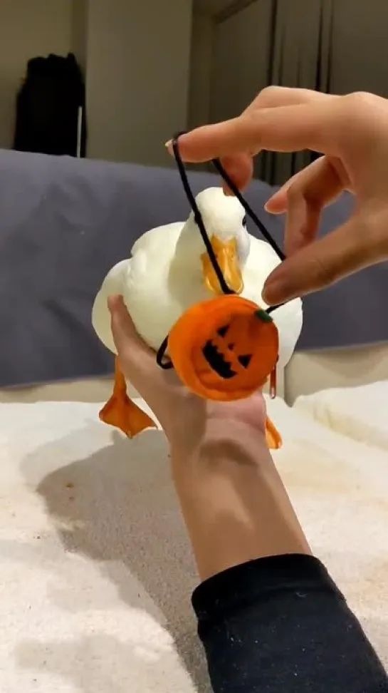 だめでした - callduck duck halloween halloweencountdown ハロウィン - ハロウィンコスプレ しらたまちゃん