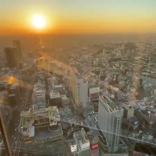 Tokyo newest attraction - Shibuya Sky