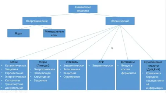 Урок Химический состав человека