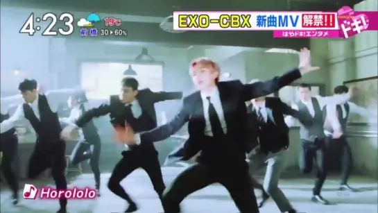 [CUT] 180424 EXO CBX - Horololo @ Oha! 4 NEWS LIVE