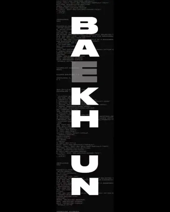 [PROJECT] 🎂 210506 EXO Baekhyun @ Fan-Project