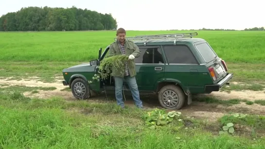 Дмитрий Талабуев не застрянет! 25.09.2019