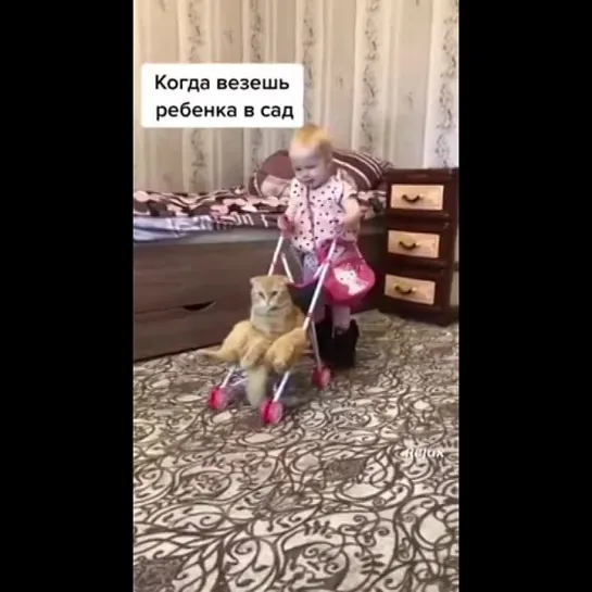 счастливая семья