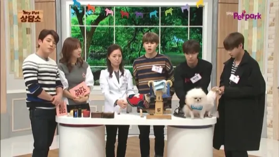 [SHOW] 151111 J-Hope, Jimin and V @ My Pet Clinic 3/3