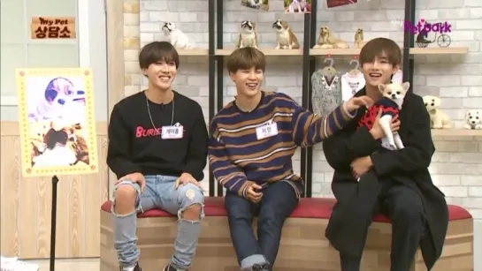 [SHOW] 151111 J-Hope, Jimin and V @ My Pet Clinic 1/3