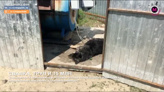 Мегаполис - Свалка, труп и 15 млн - Нижневартовск