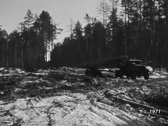 1971 год. Советский район, ХМАО. Лесозаготовки.