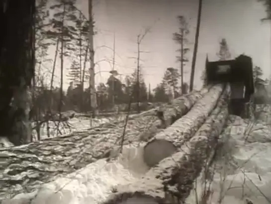 Лес Родине - документальный фильм 1952г.