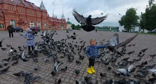 Голуби у Троице-Сергиевой Лавры.