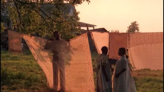 Цветы лиловые полей / The Color Purple / Стивен Спилберг, 1985 (драма)