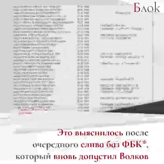 Проекты Навального спонсируют сотрудники посольств стран НАТО