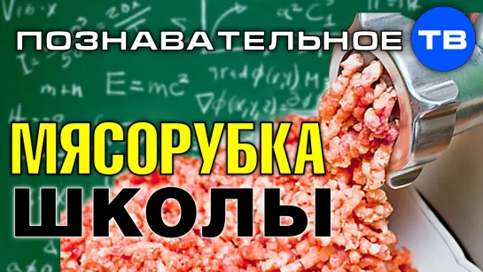 Мясорубка школьного образования (Познавательное ТВ, Артём Войтенков)