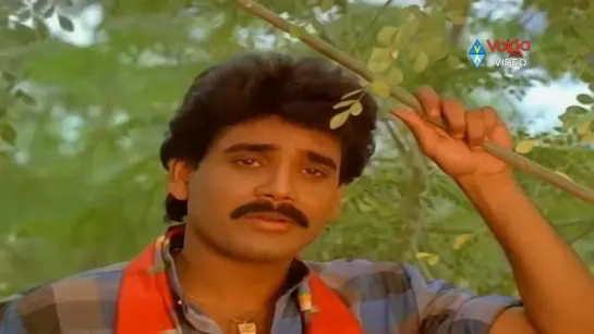 Nagarjuna - Best Evergreen Golden Hits - Video Songs Jukebox