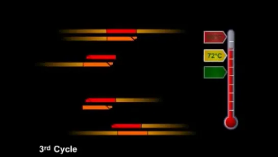 Polymerase Chain Reaction (PCR) (1)