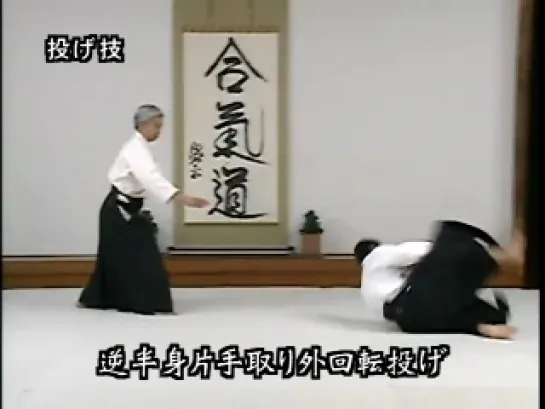 Moriteru Ueshiba - Principles of Aikido