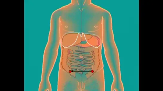 Методика обследования системы пищеварения у детей © Methodology of the digestive system in children