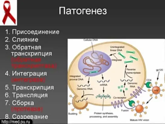 ВИЧ - инфекция