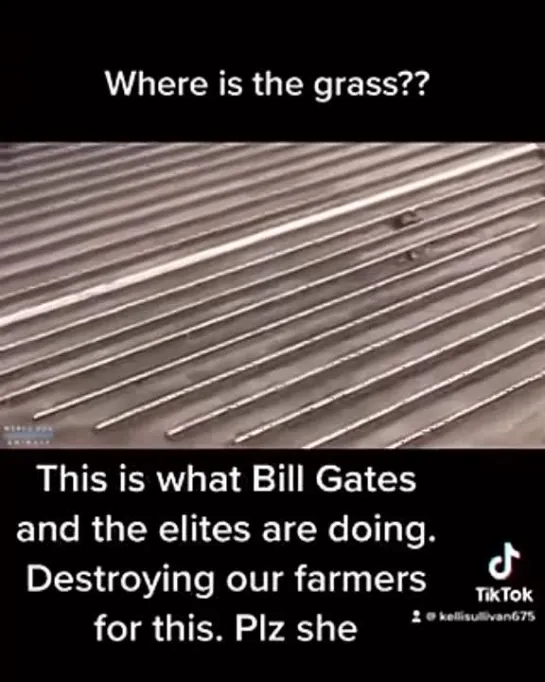 Where is the grass??