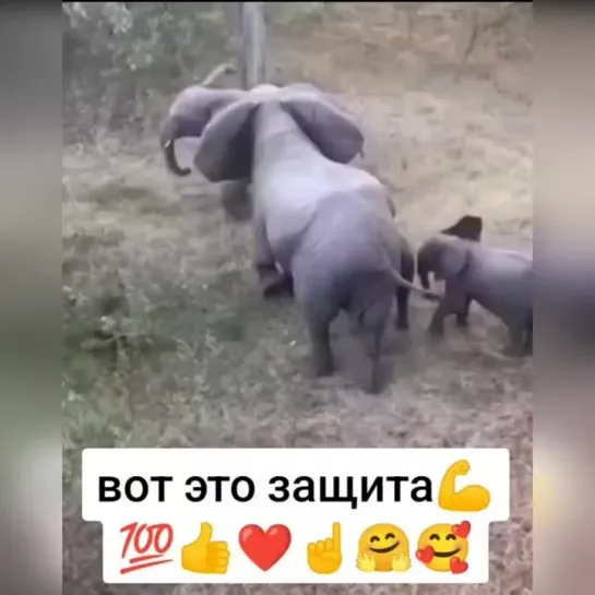 Вместе сила🥰 в семье так и должно быть, люди, учитесь!