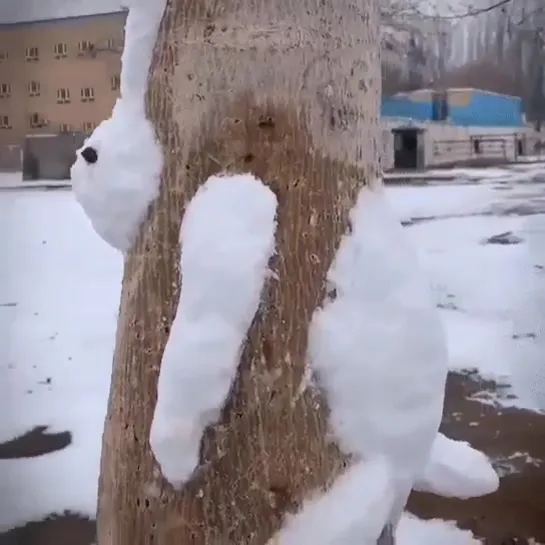 Видимо за белочкой погнался. И застрял....