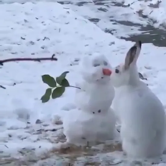 Не пропадать же морковке....😊