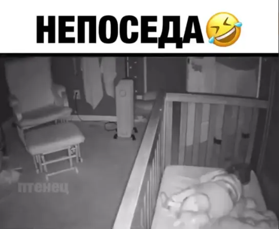 Непоседа