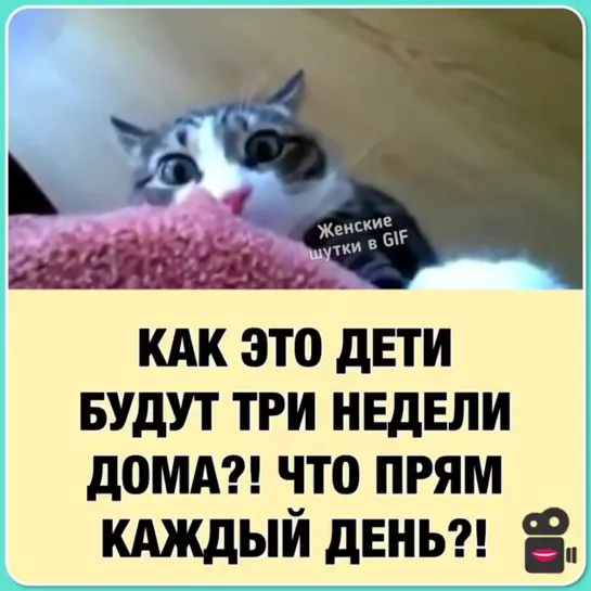 Когда каникулы продлили из-за карантина😁