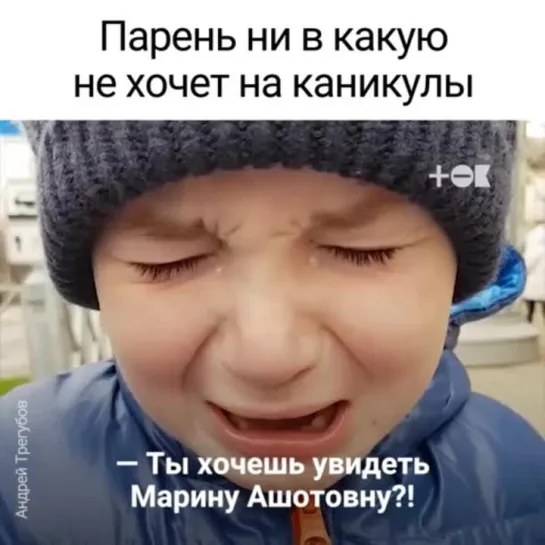 Всем бы детям в школу такую Марину Ашотовну