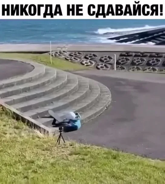 Молодец - не сдается!