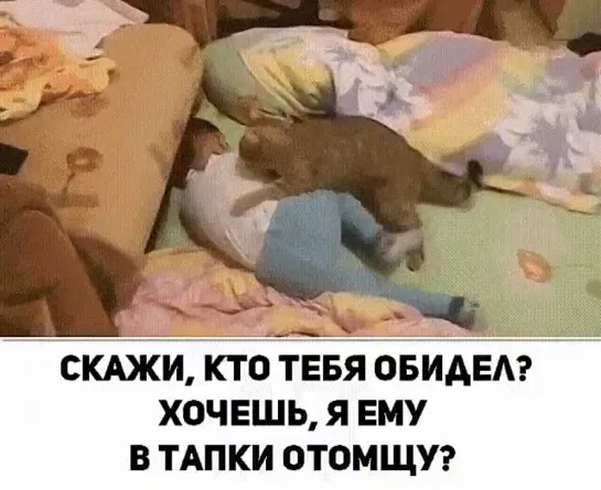 Это любовь! ❤