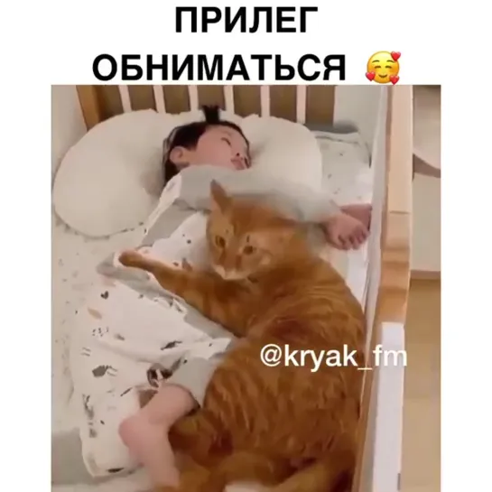 На такие обнимашки  можно смотреть вечно!