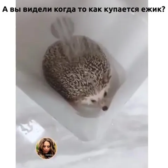 Какая прелесть...