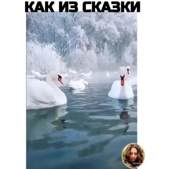 Как из сказки