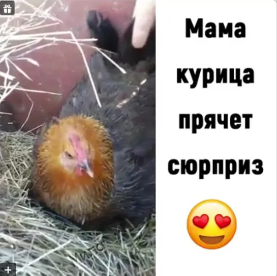 Мамы они такие...😍