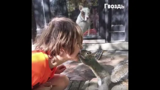 Мама вышла за порог и застыла в шоке! Я думал, такое бывает только у Диснея...