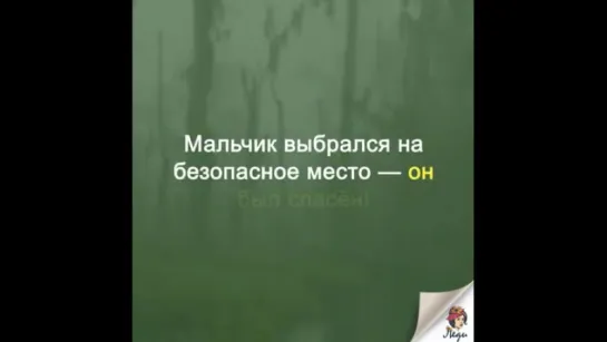 Одна из самых прекрасных историй! Делайте добро, и помните - оно всегда возвращается!