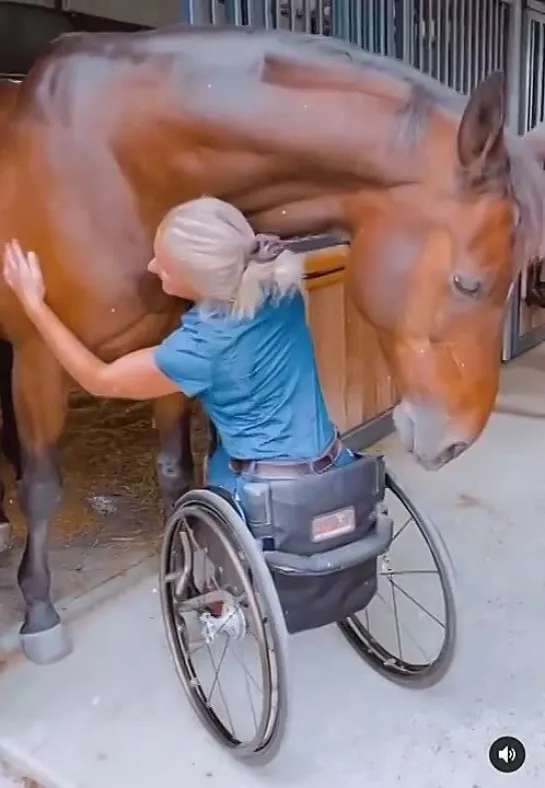 Подруга, ну обними же меня скорее! ☺️🐴