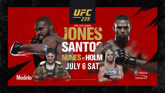 UFC 239 "Джонс - Сантос" Аналитика. Прогнозы. Ставки