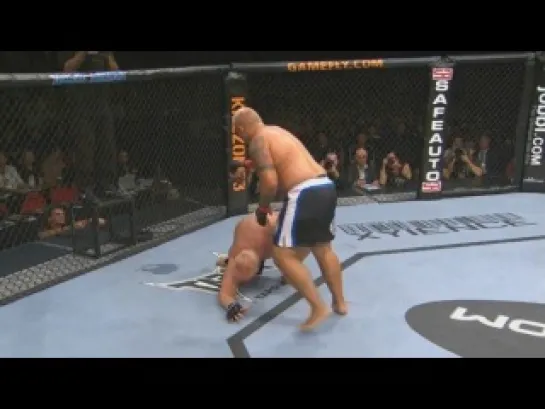 Top 5 Mark Hunt Brutal Knockouts in MMA