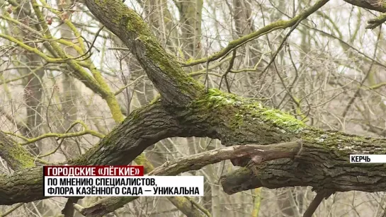 🌳 Проект благоустройства Казённого сада в Керчи готов