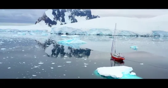 Антарктида. Слайды жизни / Antarctica. Slides of Life (2020)