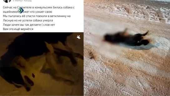 "Детали недели" - Друг или не друг