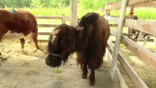 Лучший аграрий