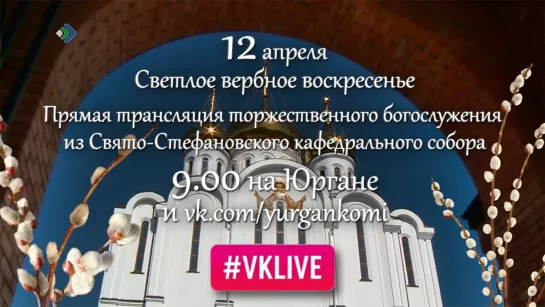 Прямая трансляция торжественного богослужения из Свято-Стефановского кафедрального собора.