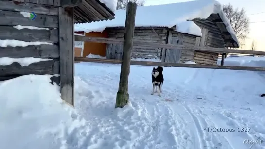 "Öнет" - Пиль Ёгор