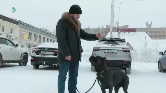 Январ медводдза лунсянь Комиын вынсьӧдісны гортса пемӧсъяс видзан выль корӧмъяс